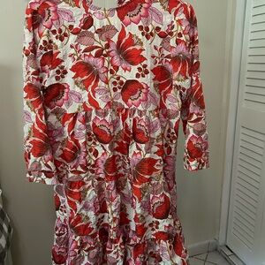 Zara Pink and Red Floral Dress